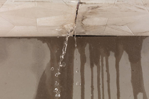 Professional Sewage Cleanup technician working in Trafalgar, IN